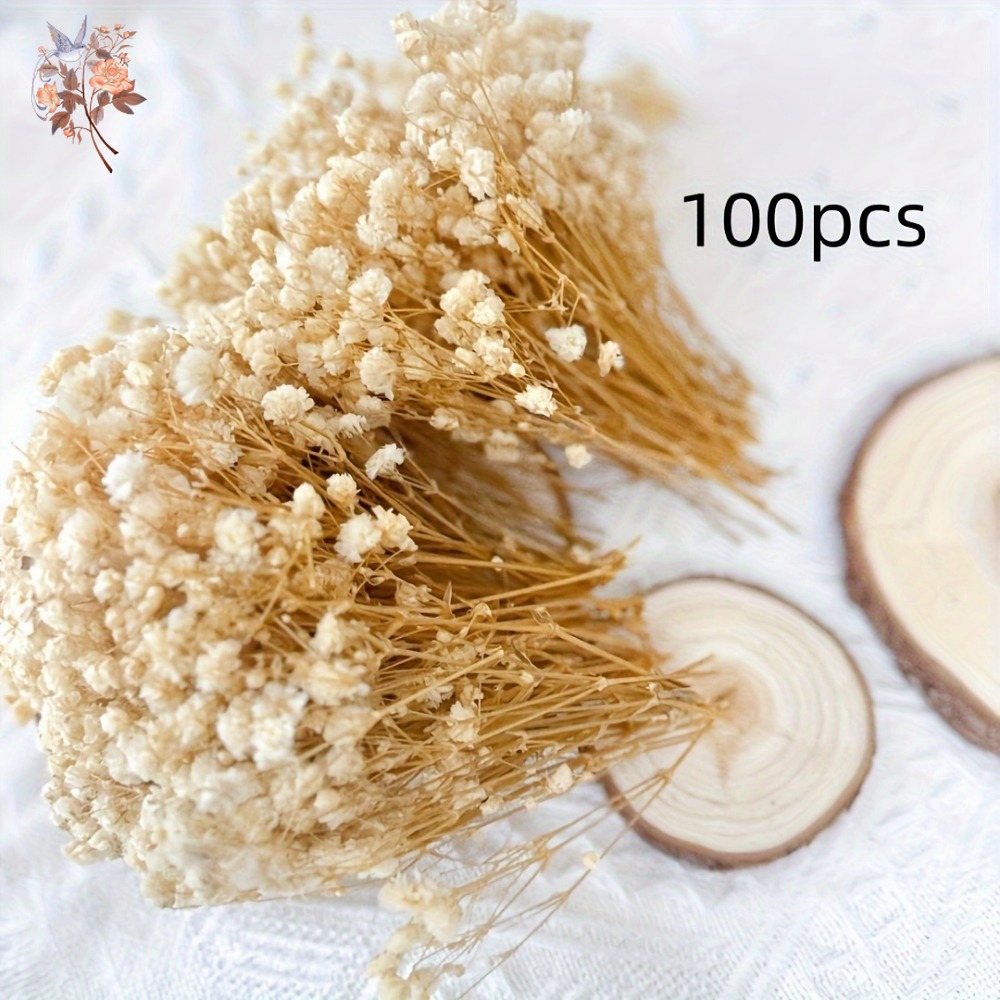 100개 미니 드라이 베이비스 브레스 꽃, 레진 공예  - Craft Embellishment 리뷰 및 가격